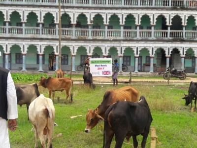 Madrasah Zeenatul Quran