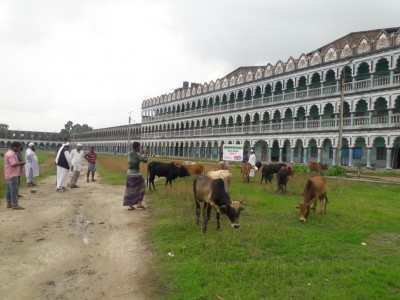 Madrasah Zeenatul Quran