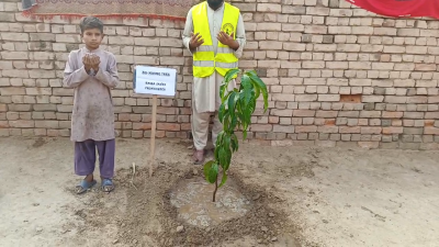 Madrasah Zeenatul Quran Gift Fruit Tree