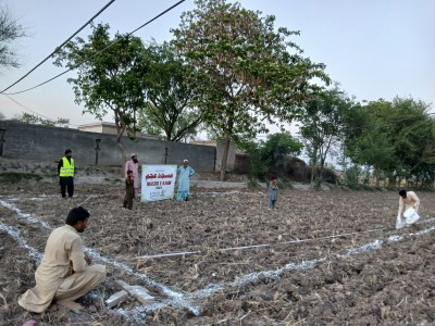 Madrasah Zeenatul Quran